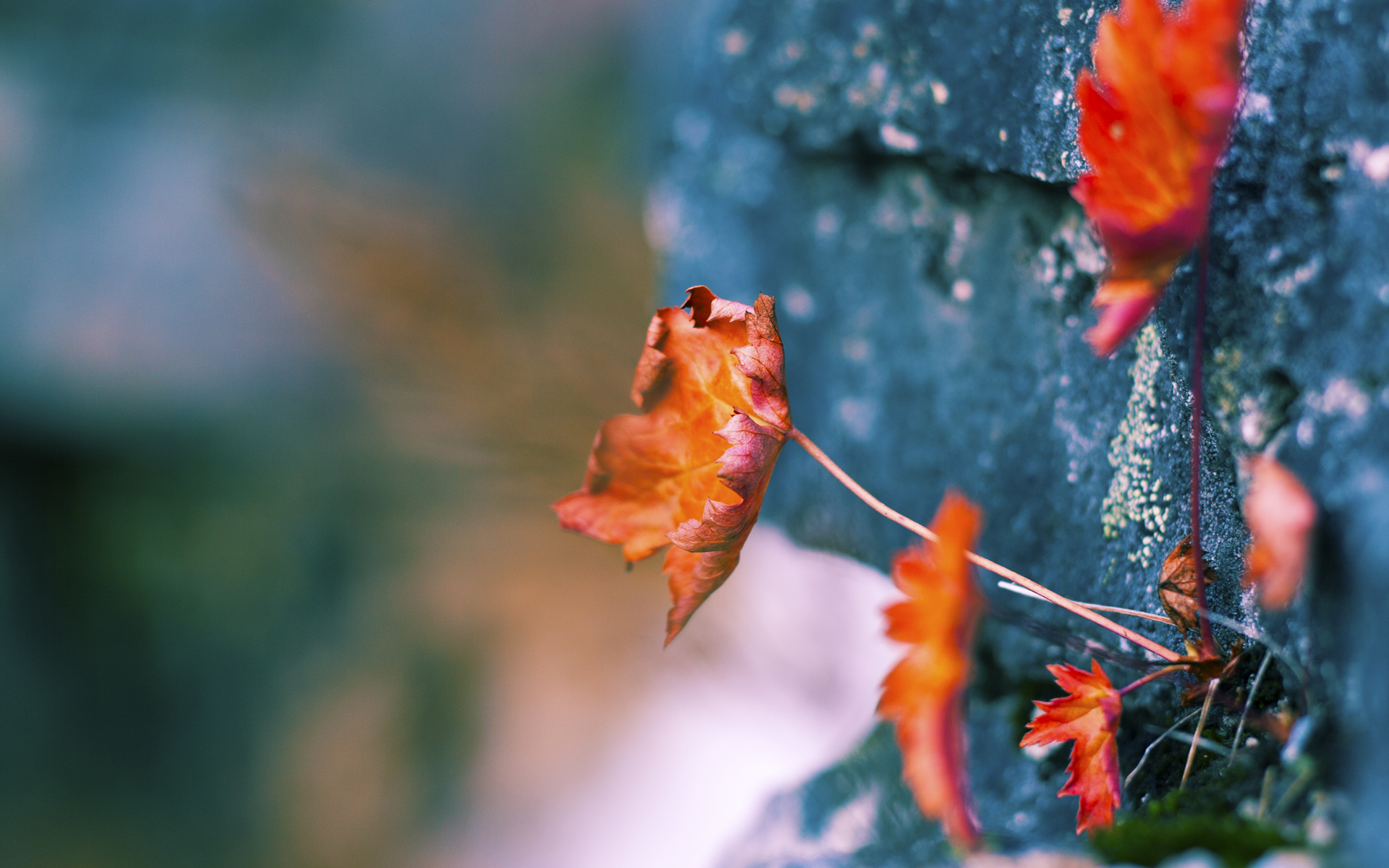 2026女超联赛广西平果开幕,升班马广西平果呗侬2-2战平四川