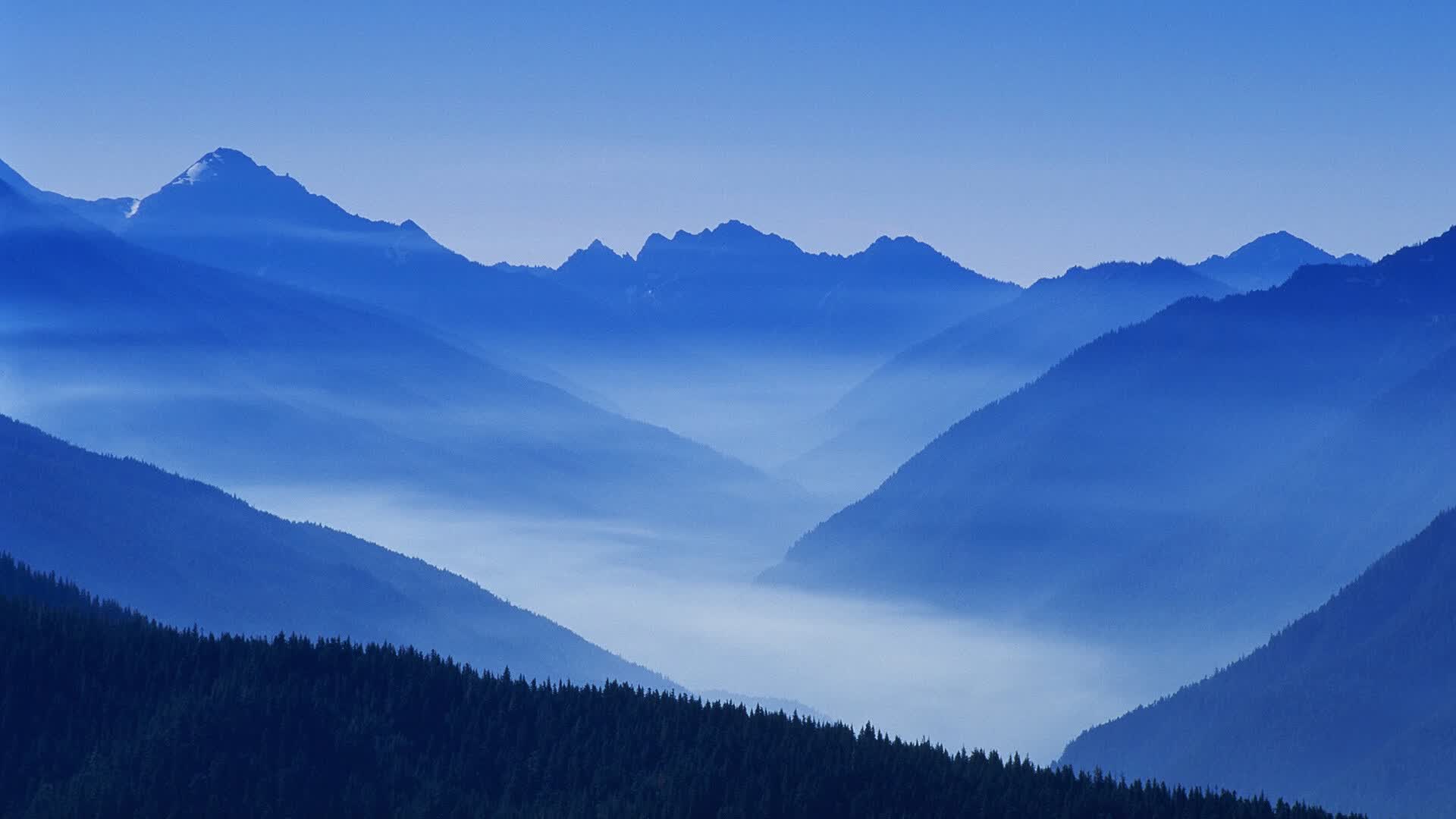 世界游艇挑战赛环保船型比赛获好评,世界级游艇